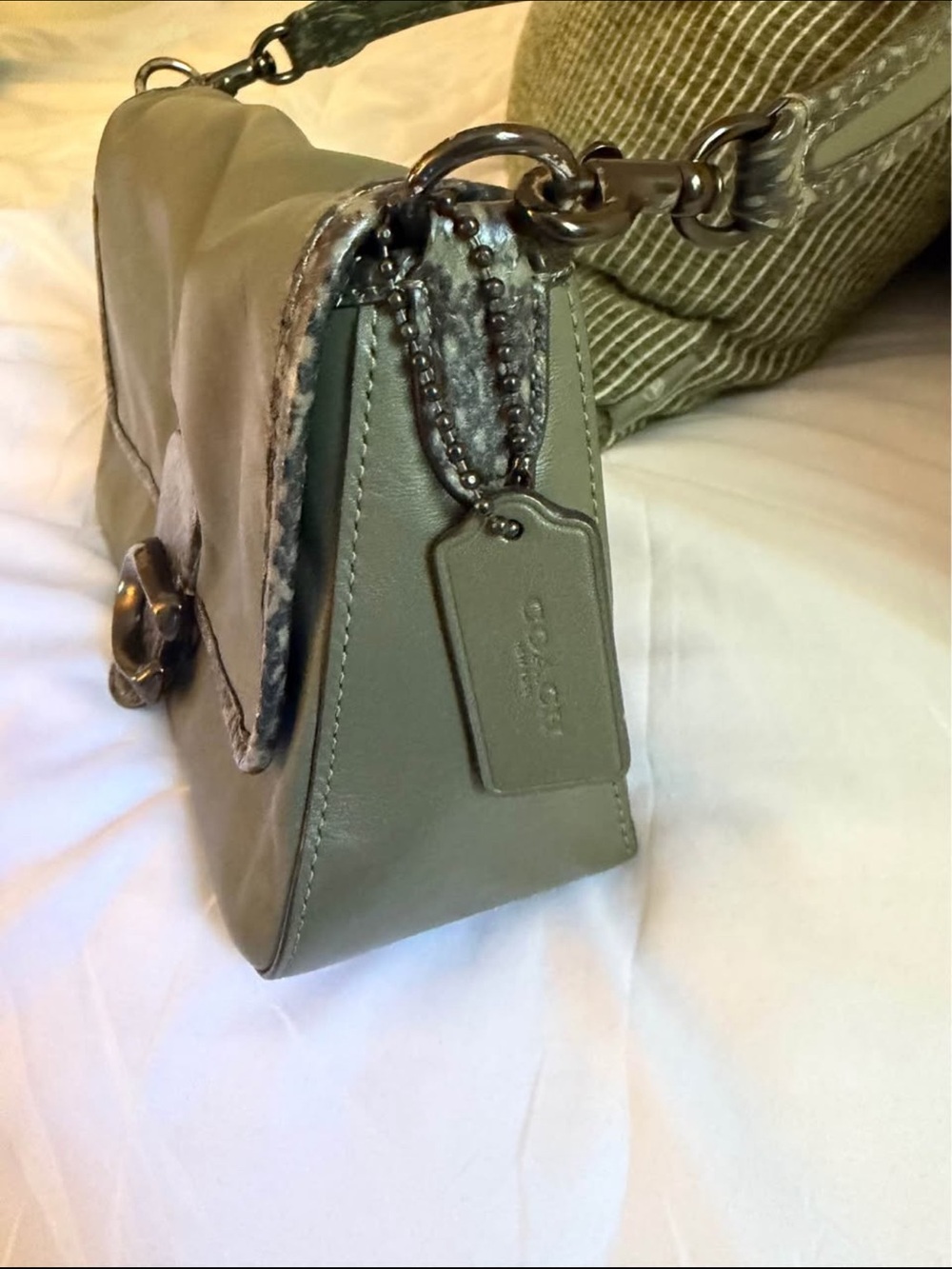 RARE Coach Soft Tabby green purse with snake detail - Picture 6 of 8
